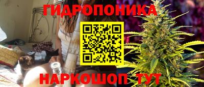 молекула духа Будённовск